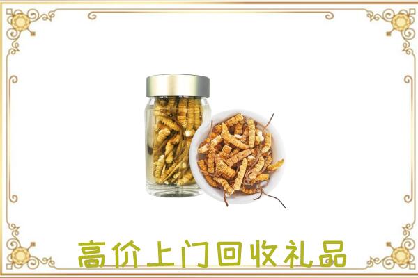 宜良县周边回收虫草